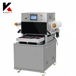 Automatic Pillow Bag Packaging Machine